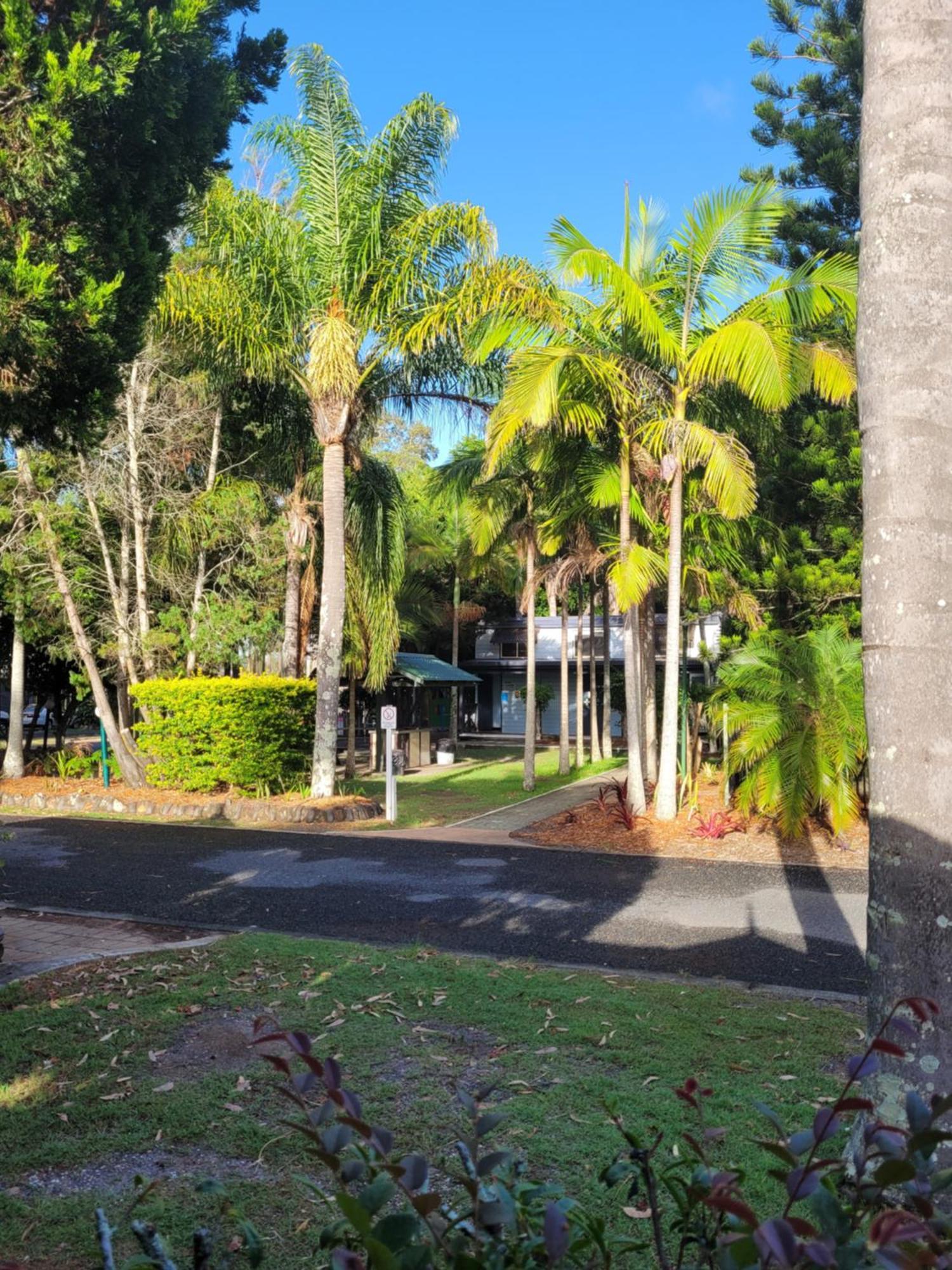 Lani'S Holiday Island Forster Exteriör bild